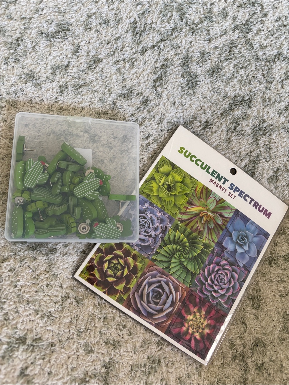 Succulent Spectrum Magnet Set & Cactus Thumb Tac Set Bundle NWT set of 2 items